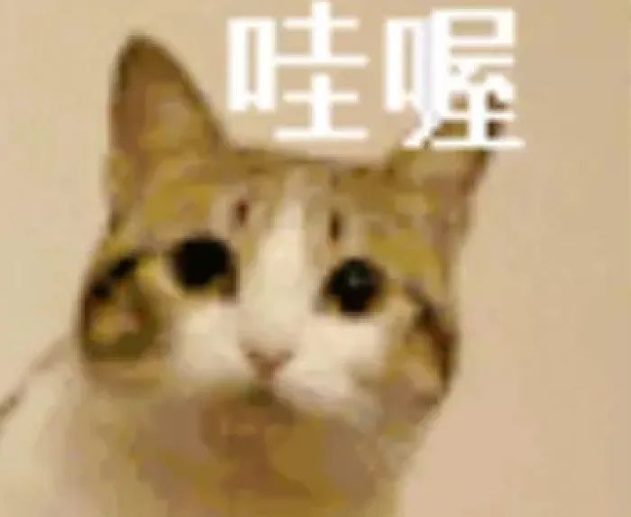 DƬ